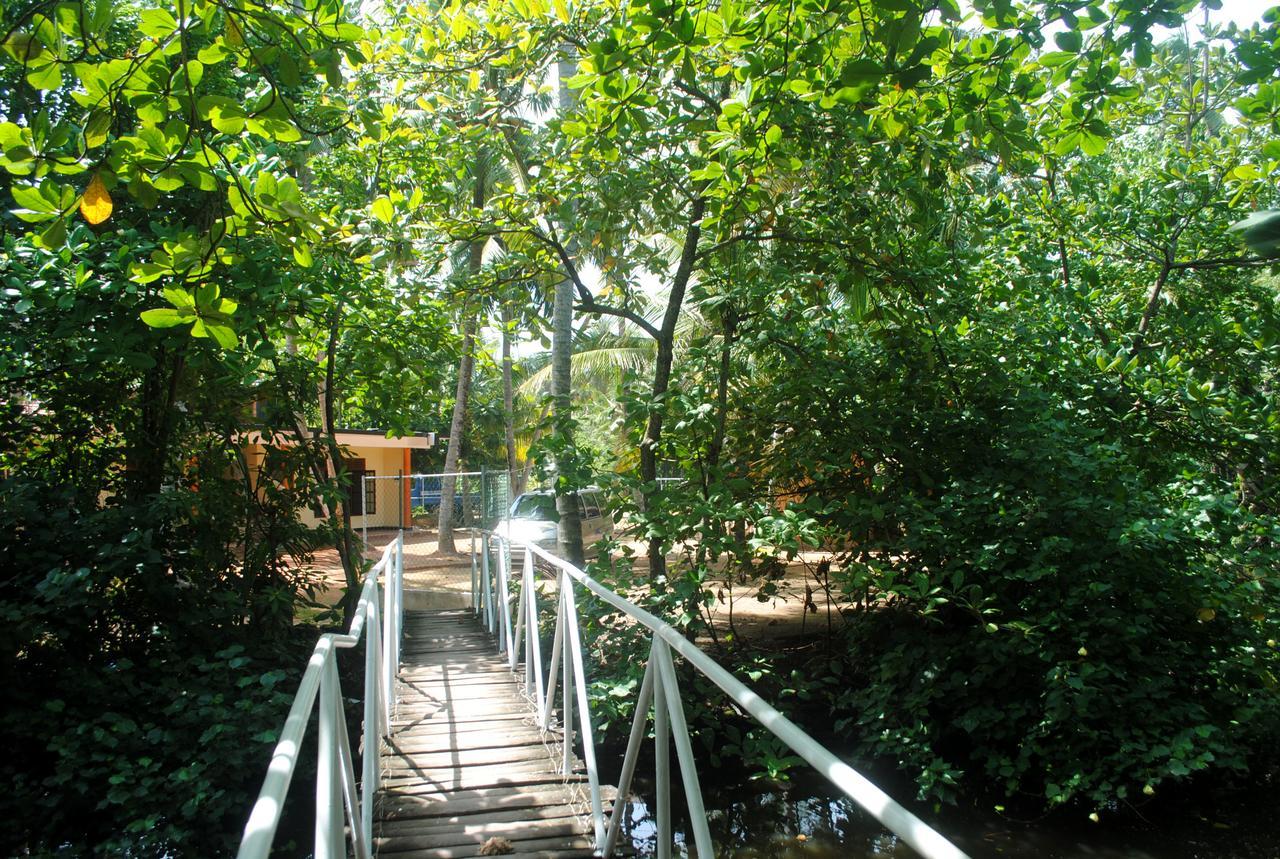 Ever Green מיריסה מראה חיצוני תמונה