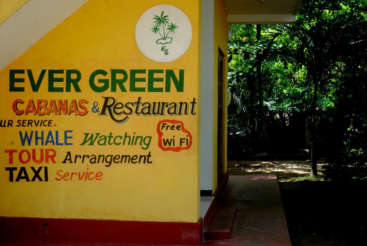 Ever Green מיריסה מראה חיצוני תמונה