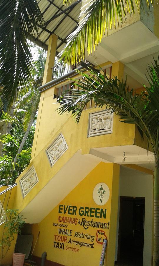 Ever Green מיריסה חדר תמונה